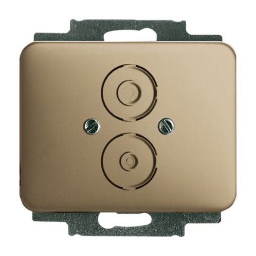 1748-21 CoverPlates partly incl. Insert carat bronze